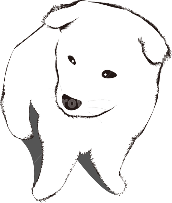 Sleeping,Baekgu,puppy,Jindo dog,bowwow,native dog,white puppy,cute,Korean dog