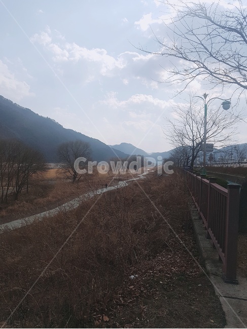 길,산책,산,나무,산책길,숲
