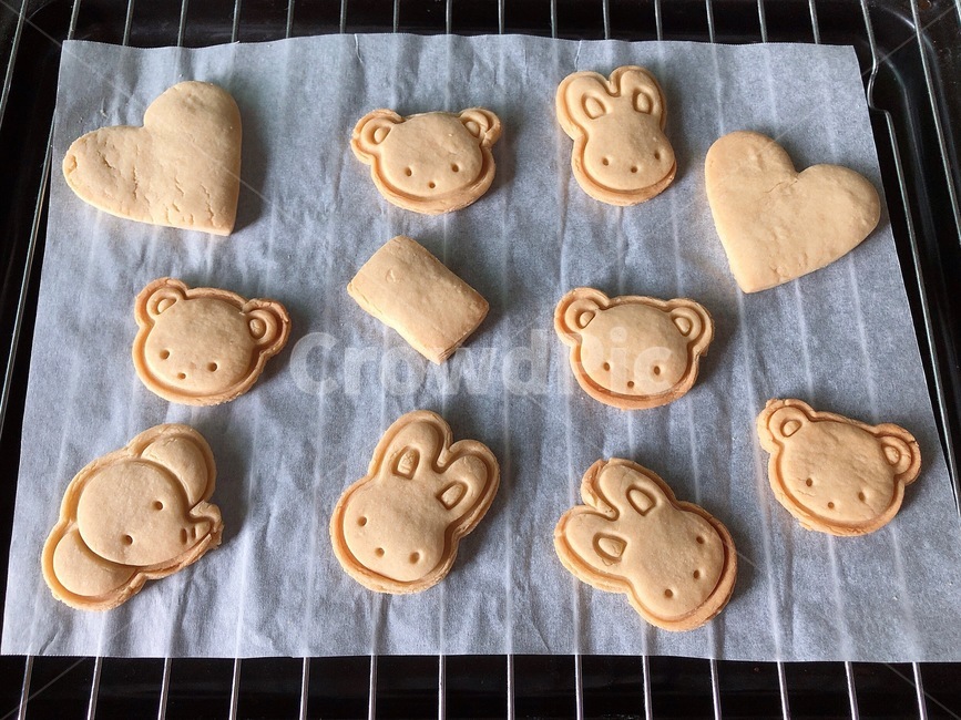 비스킷,cookie,쿠키,food,음식