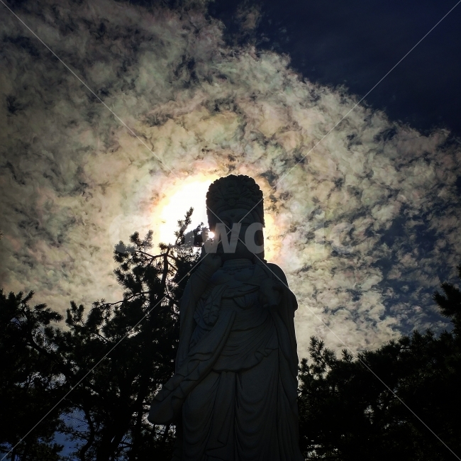 부처님,여의주,후광,절,사찰,해동용궁사,조각상,동상,석상,조형물,statue,bronze statue,stone statue,종교,신앙,religion,belief,faith