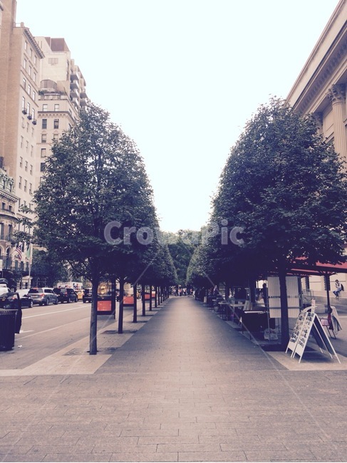 road,도로,길,부드러움,자연스러움