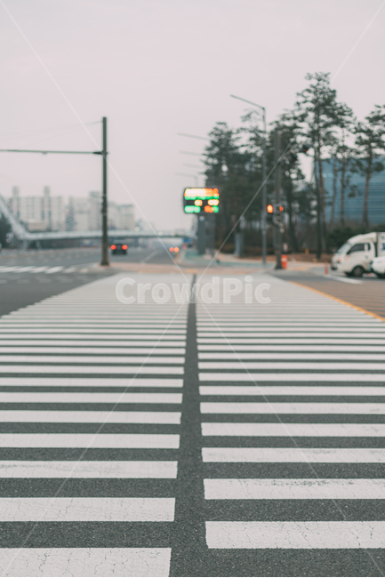 횡단보도,건널목,동네,풍경,배경화면,길,도로,landscape,city,한국도시풍경,한국도시경관,korea,cityscape,건물,하늘,sky,도시,풍경,city,landscape,교통,교통수단,traffic,transportation,road,asphalt,아스팔트