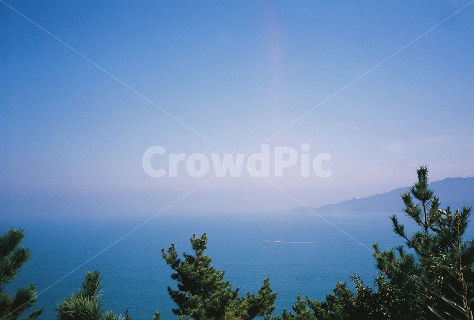 필름,필름사진,film,바다,sea,자연,nature,섬,island,나무,식물,자연,plants,nature,나무,trees,wood