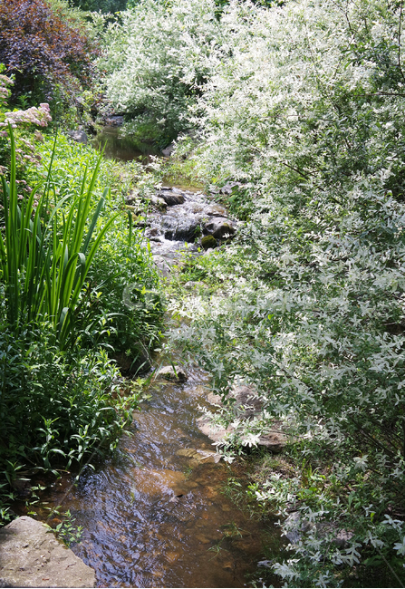 물,자연,nature,풍경,산속