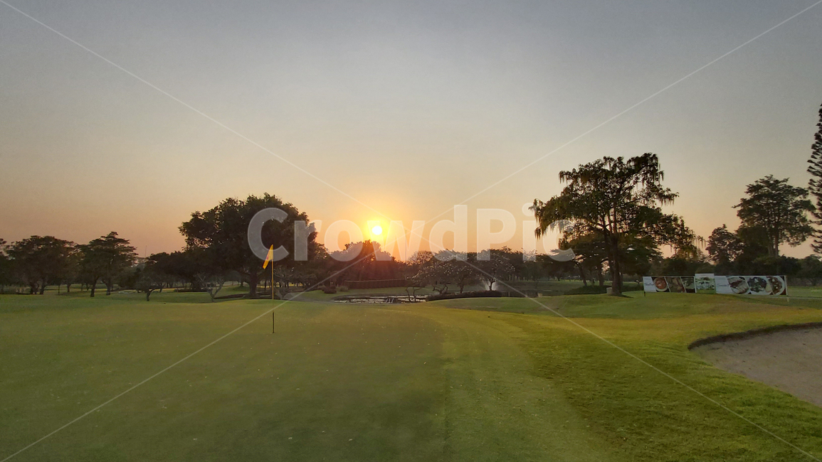 골프장,잔디,그린,컨트리클럽,골프,plant,필드,field,golfcourse,골프코스,들