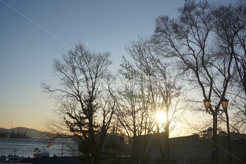 겨울나무,나무,해질녘,sunset,일몰,겨울,햇빛,sun,winter,sky,겨울풍경,저녁,자연,풍경,nature,landscape,flare,플레어,light,빛
