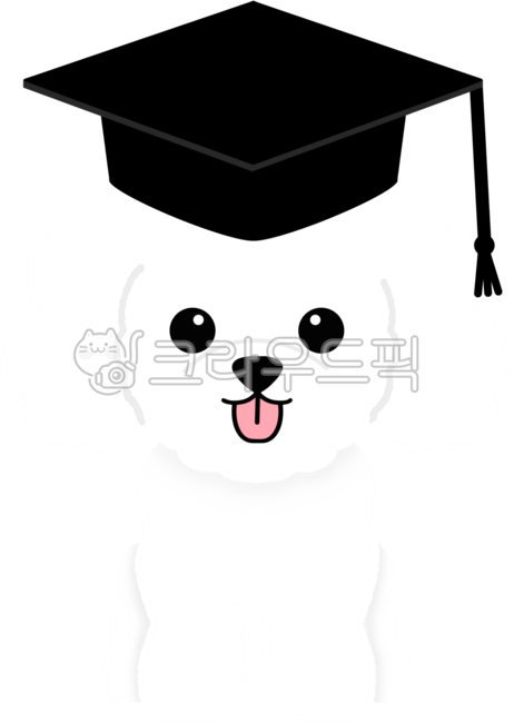 강아지졸업식,강아지졸업,푸들학사모,학사모푸들,강아지유치원졸업,강아지학교졸업,졸업,졸업식,학사모