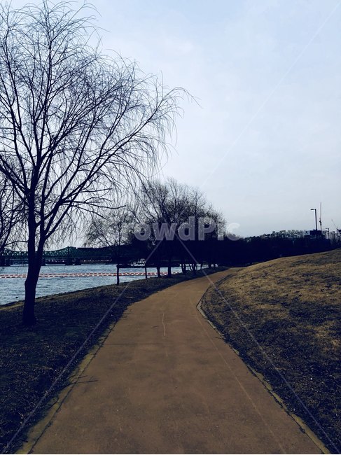 여의도,한강공원,한강,하늘,공원,sky,park,winter,자연,풍경,nature,landscape,asphalt,아스팔트,road,도로