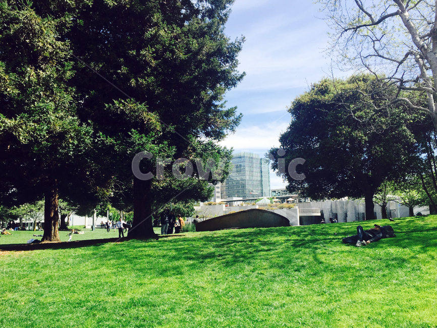 공원,휴식,나무,미국,잔디,tree,park,sky,grass,rest,relaxation