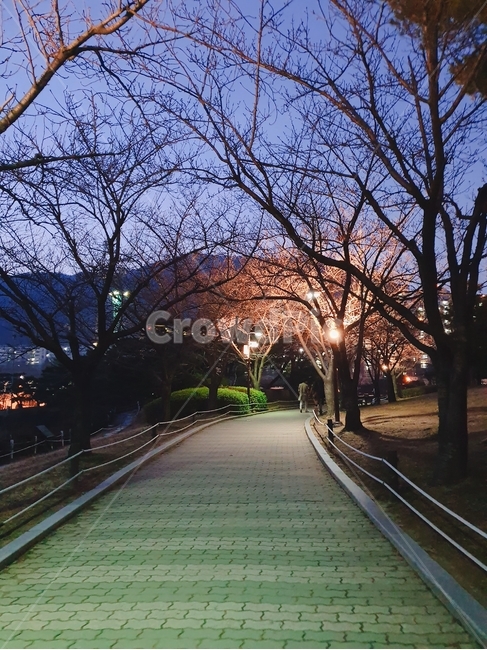 path,walkway,park,공원,산책,겨울,밤,night,밤감성