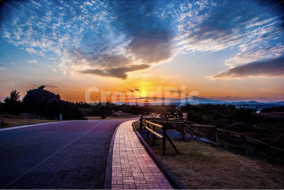 제주,제주도,섭지코지,가을,풍경,갈대밭,일몰,자연,풍경,nature,landscape,path,통로,outdoors,옥외
