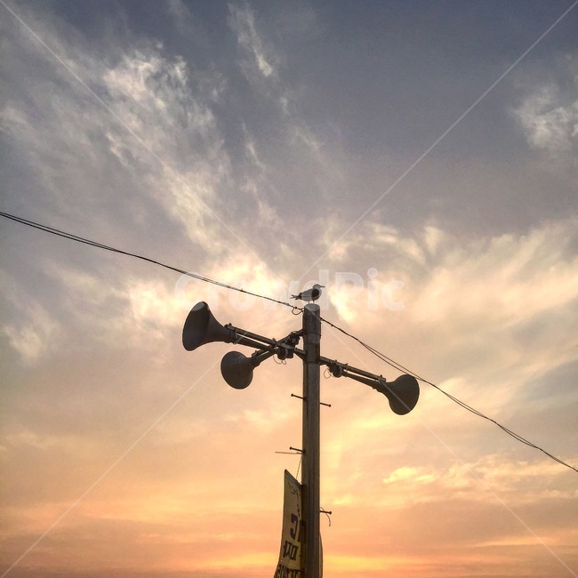 바다,노을,석양,갈매기,seagull,commongull,풍경,sunset,sky,하늘,landscape,실루엣,silhouette,해변,바닷가,을왕리,전봇대,조각상,동상,석상,조형물,statue,bronze statue,stone statue