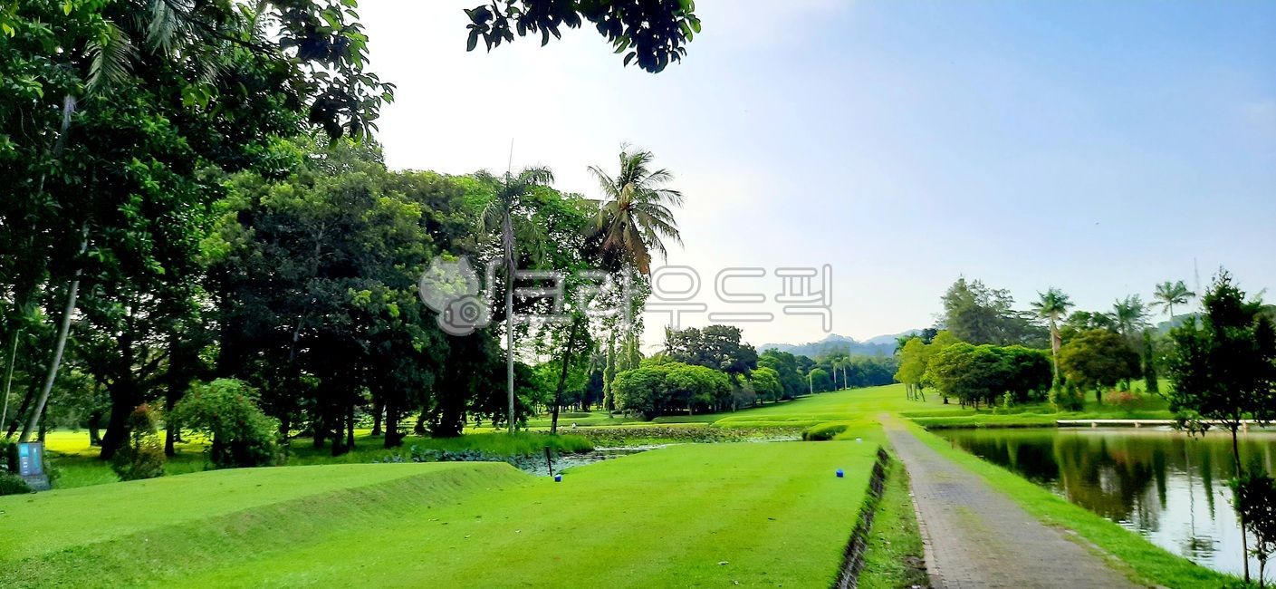 Indonesia Golf Course,field,golf course,fairway,golfcourse,Fairway,Southeast Asia Golf