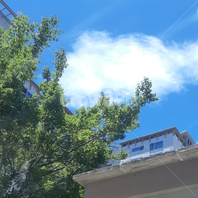 파란,하늘,구름,풍경,맑음