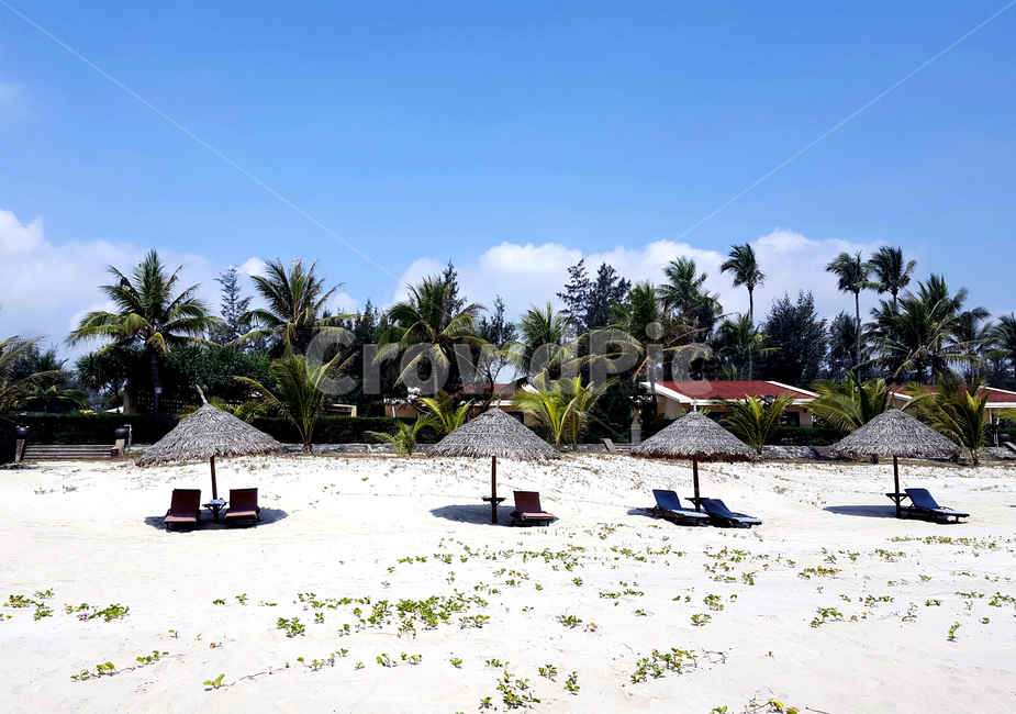 summer,여름,tropical,열렬한,베트남,vietnam,여행,다낭,danang,풍경,배경,조감도