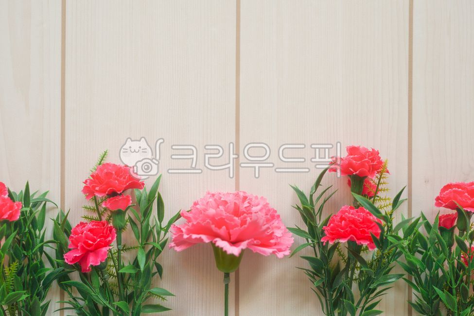 어버이날,스승의날,감사인사,카네이션,꽃,5월8일,carnation,flower,가정의달,감사카드,감사엽서,우드무늬,배경이미지,꽃배경,어버이날배경