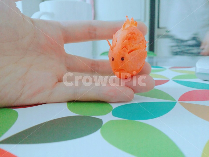 카빙,금붕어,당근,손,채소,음식,취미,기술,물고기,skill,조각