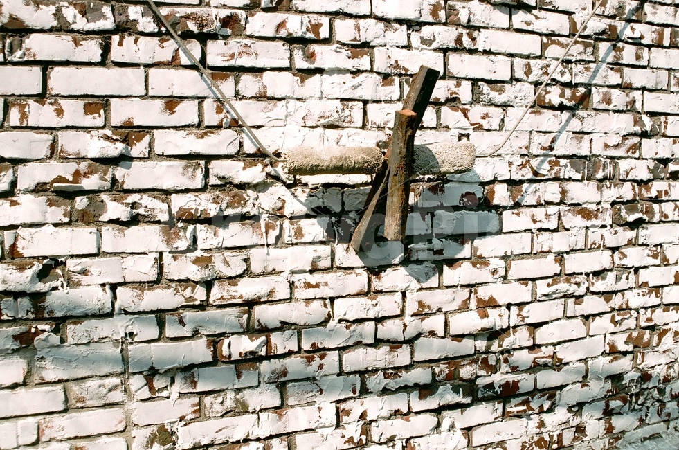 wall,brick,벽돌,벽,나무,담장,그림자,텍스처,질감,패턴,texture,pattern