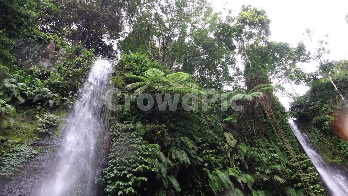 폭포,fall,물,water,nature,자연,숲,열대,식물,롬복,인도네시아,린자니산,린자니