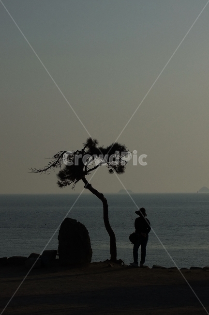 인물,실루엣,그림자,역광,하늘,바다,나무,식물,자연,plants,nature,나무,trees,wood,사람,인물,인간,human,person,실루엣,그림자,silhouette,shadow,인물실루엣,사람실루엣,character silhouette,human silhouette,plant,tree