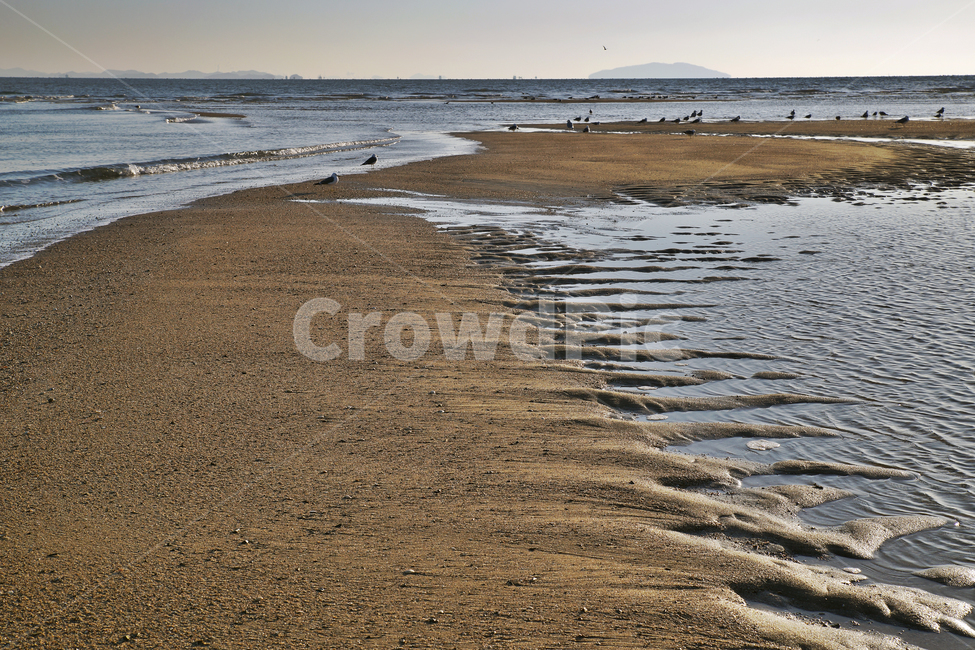 선재도,모래톱,바닷길,갯벌,썰물,바다,서해,인천,갈매기,해변,바다,beach,sea