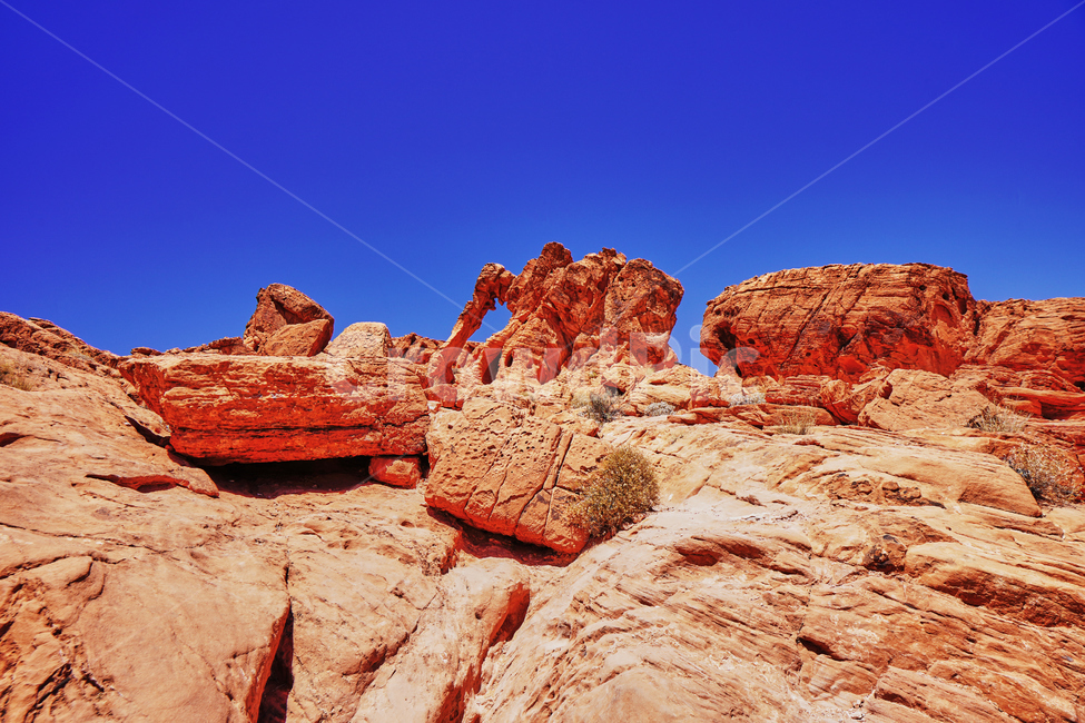 불의계곡,valleyoffire,건조한,dry,풍경,파란하늘,코끼리,red,sandstone,rock,바위,자연,풍경,nature,landscape,해외,외국,세계,foreign,oversea,world,세계자연풍경,해외자연풍경,외국자연풍경,world nature landscape,outdoors,옥외