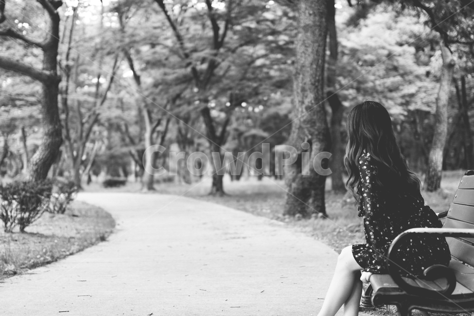 흑백,길,여자,뒷모습,벤치,나무,공원,산책,인물,사람,모노톤,분위기,park,tree,road,waman,human,person,blackandwhite,monochrome,사람,인물,인간,human,person,여성,여자,woman,female,lady,고독함,외로움,쓸쓸함,우울함,슬픔,lonely,solitary,흑백,모노톤,monochrome,black and white