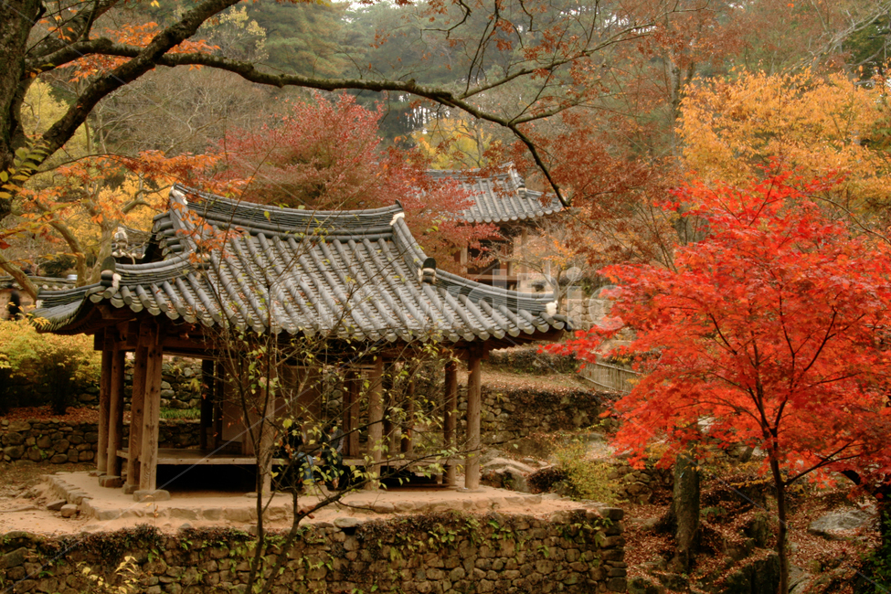 한국,담양,정자,소쇄원,가을,단풍,건축,기와집,가을,계절,fall,autumn,season,한국자연풍경,한국자연경관,korea nature landscape