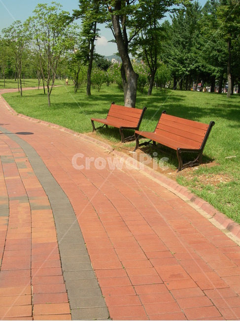 의자,나무,길,공원,벤치,휴식,산책,힐링,자연,bench,tree,way,park,rest,walking,healing,nature