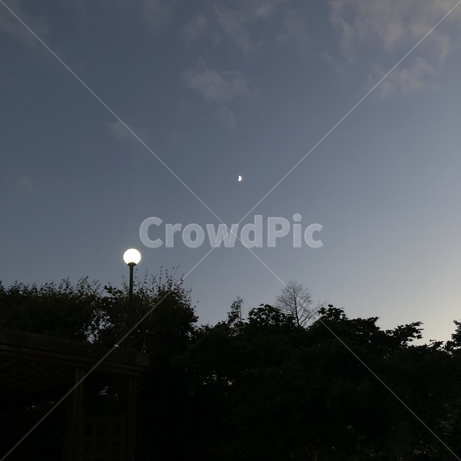 자연,풍경,밤,밤하늘,하늘,달,구름,가로등,나무,산,저녁,오후,해질녘,moon,sky,빛,야경,밤,풍경,nightscape,night,landscape,nature,outdoors,옥외