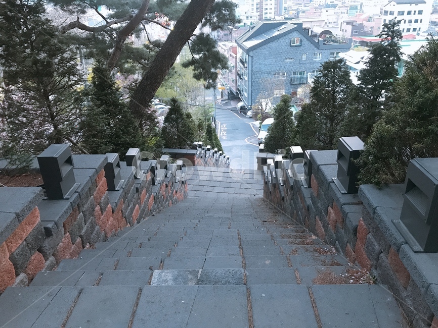 계단,나무,산책로,풍경,길,자연,배경
