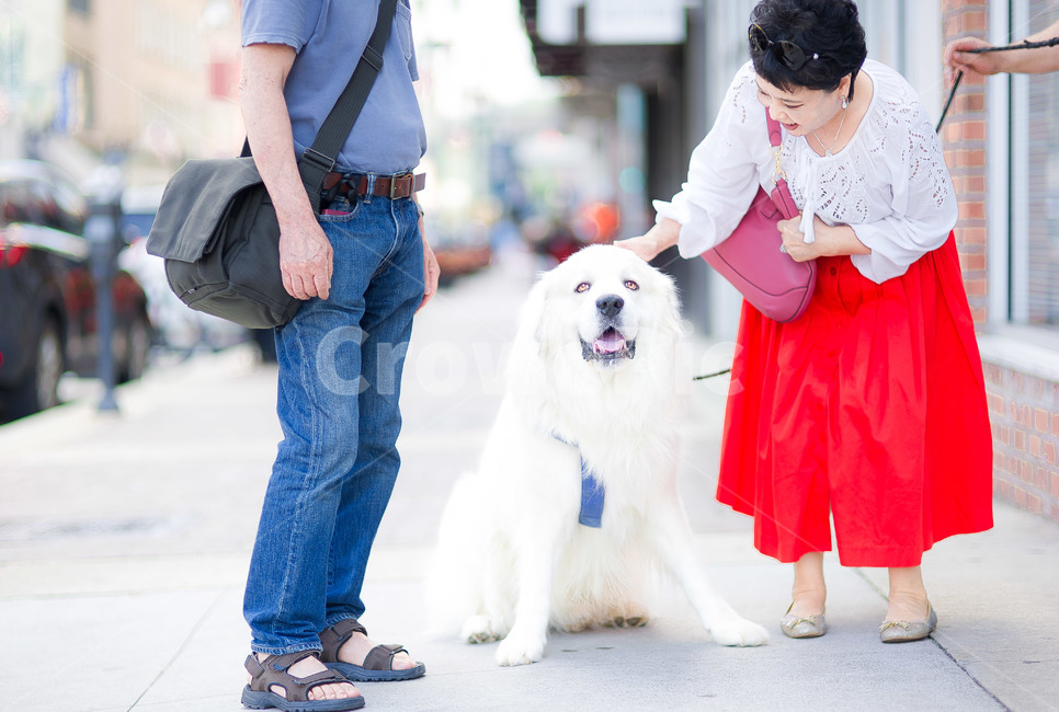 person,사람,human,인간,clothing,apparel,의복,의류,개