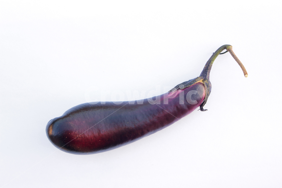 가지,야채,채소,보라색,보라,퍼플,식재료,음식,식물,열매,흰배경,food,vegetables,eggplant,aubergine,violet,purple