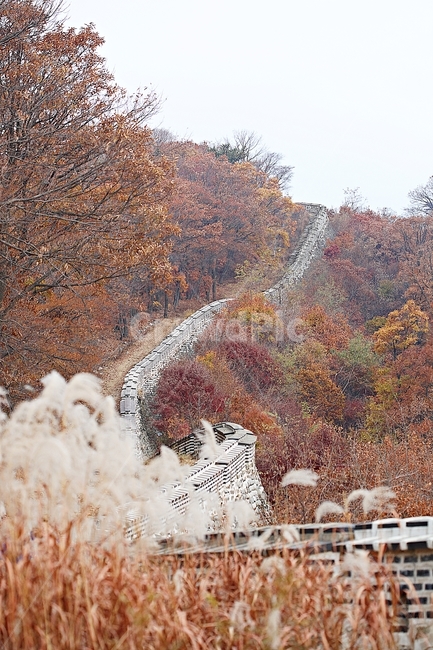 stone wall,forest,castle,nature,Namhansanseong Fortress,scenery,trail,fallen leaves,road,plant,autumn leaves,mountain fortress,autumn,forest road,wall,colorful