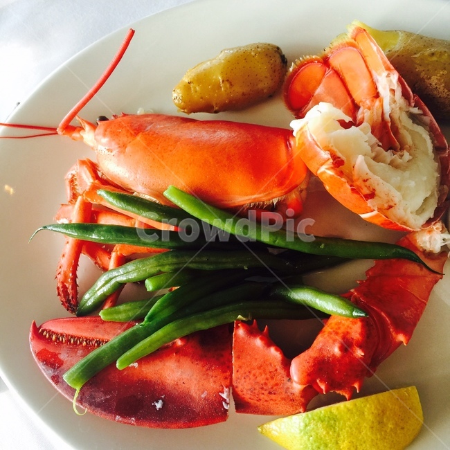 랍스터,양식,레스토랑,갑각류,요리,cooking,restaurant,dish,food,음식,meal,식사,해산물,해산물요리