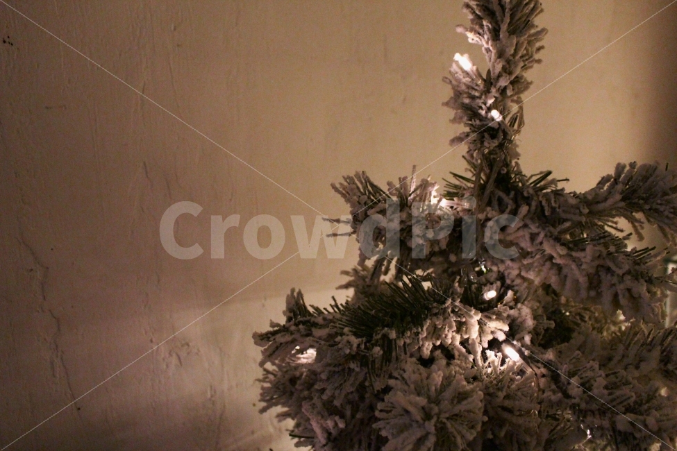 나무,겨울,크리스마스,눈,트리,어두움,빛,tree,winter,christmas,light,dark,snow,계절,season,겨울,계절,winter,season,종교,신앙,religion,belief,faith,기념일,축하,anniversary,congratulation,celebrate,celebration,메리크리스마스,성탄절,merry christmas,인테리어,실내디자인,interior design