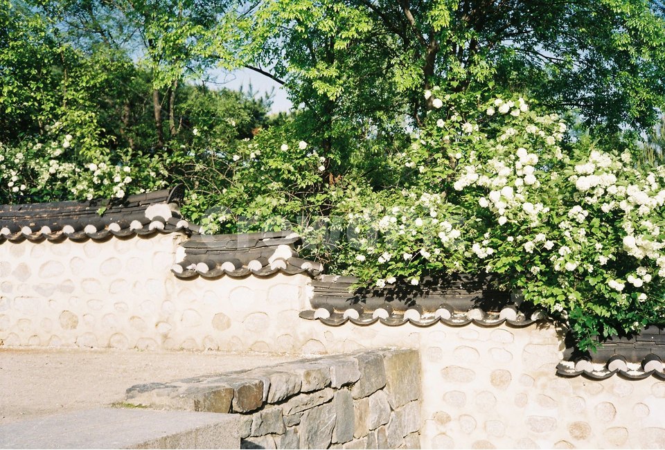 전통,한국전통,한옥,전통가옥,기와집,한국전통,한국문화,korean traditional,korean culture,건축물,건물외관,exterior,building,structure,architecture,construction