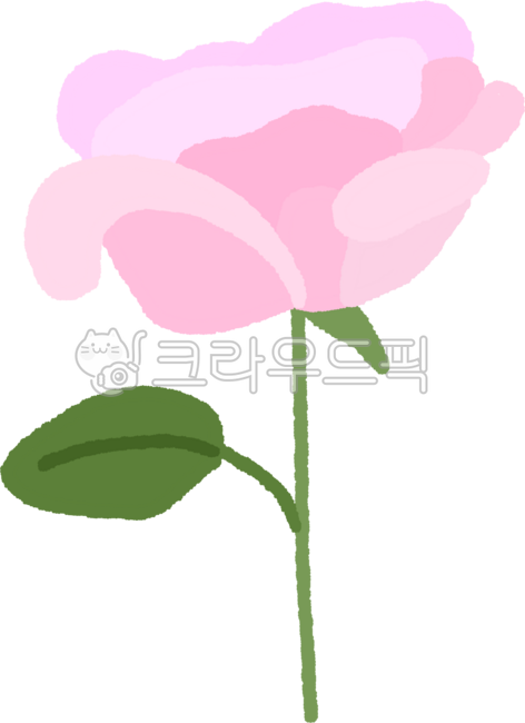 장미,장미꽃,핑크장미,분홍장미,장미일러스트,꽃한송이,꽃,꽃일러스트,장미그림,봄,5월,단순한,꽃장식,데코,로즈데이,성년의날,축하,기념일,시즌,이벤트,illustration,graphic,design,png,rose,flower