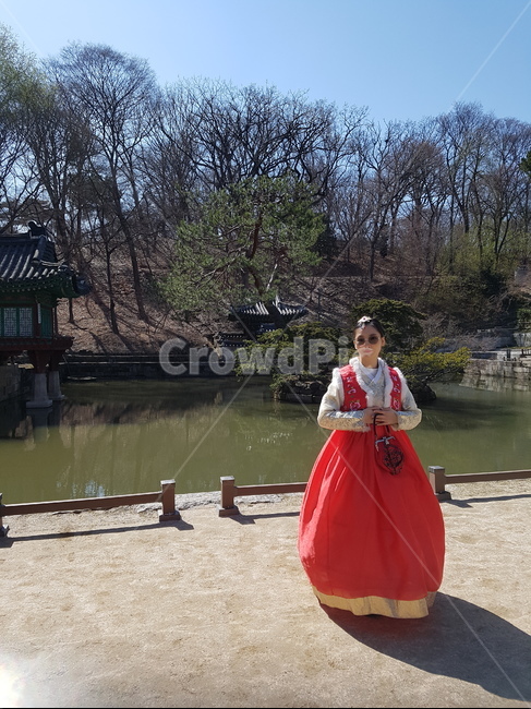한복,앞모습,선글라스,궁궐,왕의후원,나무,호수,단정한,한국전통,한국문화,korean traditional,korean culture,한복,한국전통의상,hanbok,korean traditional clothes,사람,인물,인간,human,person,여성,여자,woman,female,lady