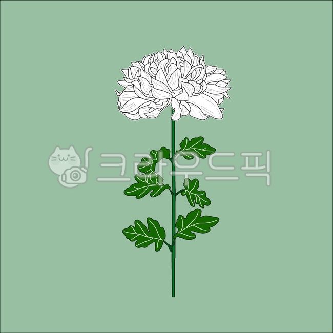 국화꽃,현충일,장례식,625한국전쟁,순국선열의날,국화,장례,근조,상조,추모,추도,추념,애도,초상,조문,빈소,고인,죽음,순국선열,테두리,배경,슬픔,명복,조의,기념일,묵념,국화한송이,국화꽃한송이,국화일러스트,달리아,국화꽃일러스트,꽃,허브,잎,flower