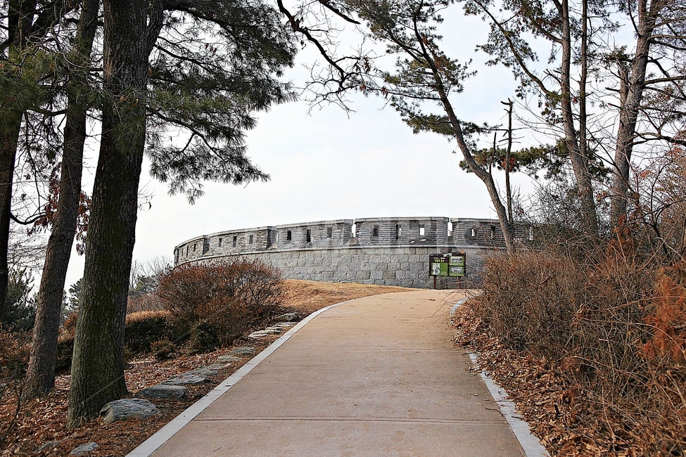 광성보,손돌매돈대,진,성곽,담,돌담,겨울,자연,식물