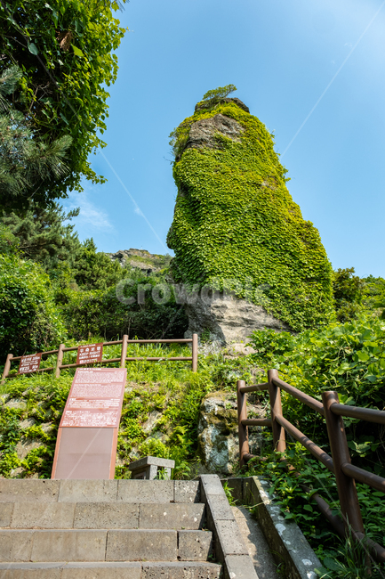 제주도,자연,제주,섬,평화,풍경,아름다운풍경,nature,jeju,성산일출봉,계단,풀,바위,자연,풍경,nature,landscape,제주도,jeju,jeju island,outdoors,옥외,garden,정원,arbour,정자