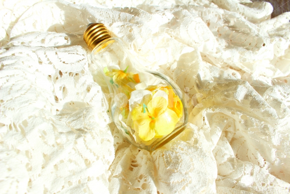 컨셉사진,감성사진,꽃,전구,레이스,노란색,하얀색,봄,색감,lace,flower,yellow,white,감성,sensible,feeling,사물,물건,오브젝트,thing,object,matter,연출,컨셉,콘셉,direction,concept