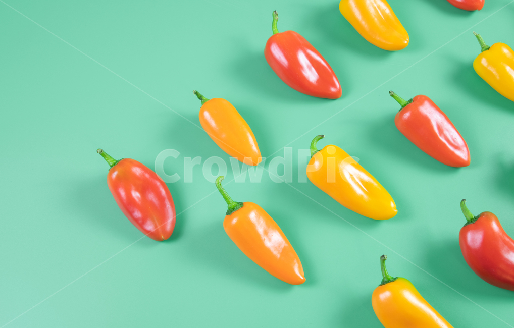 미니파프리카,bellpepper,채소,야채,음식재료,빨강,주황,노랑,음식,식재료,요리,food,cook,meal,dishes,food reserves,채소,야채,vegetables,색깔,색상,색채,색감,color sense,color sensitivity,feeling of color
