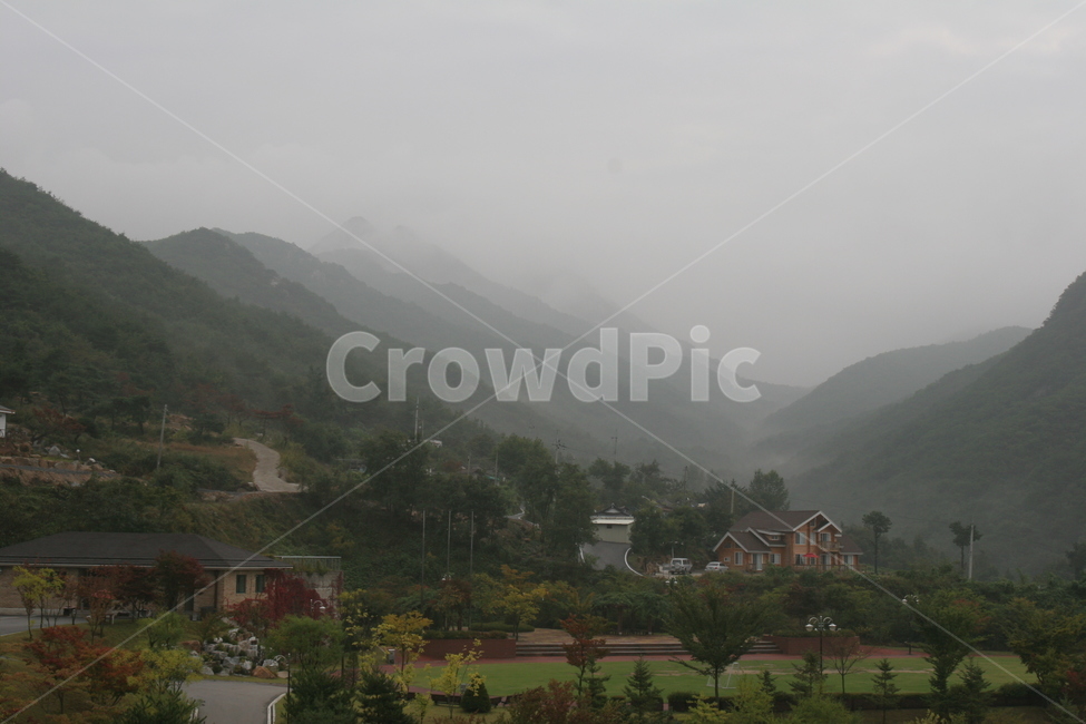 안개,새벽,운무,가을,단풍,nature,자연,outdoors,옥외,자연,풍경,nature,landscape