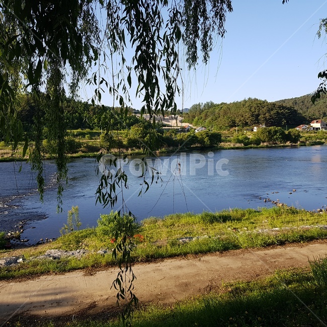 강,버들나무,나무,풀,산책,길,숲,산,mountain,자연,하늘,풍경,view