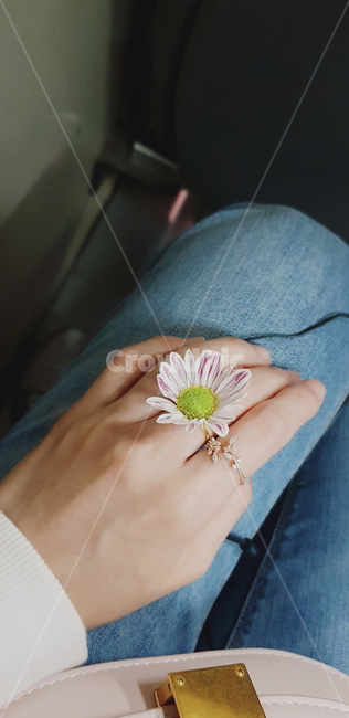 꽃반지,꽃,반지,손,예쁜반지