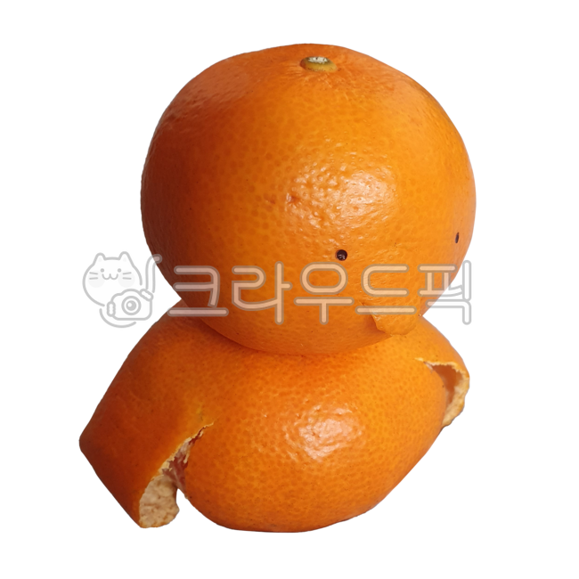 citrusfruit,citrus fruits,tangerine peel,fruit,duck,tangerine duck,sullen