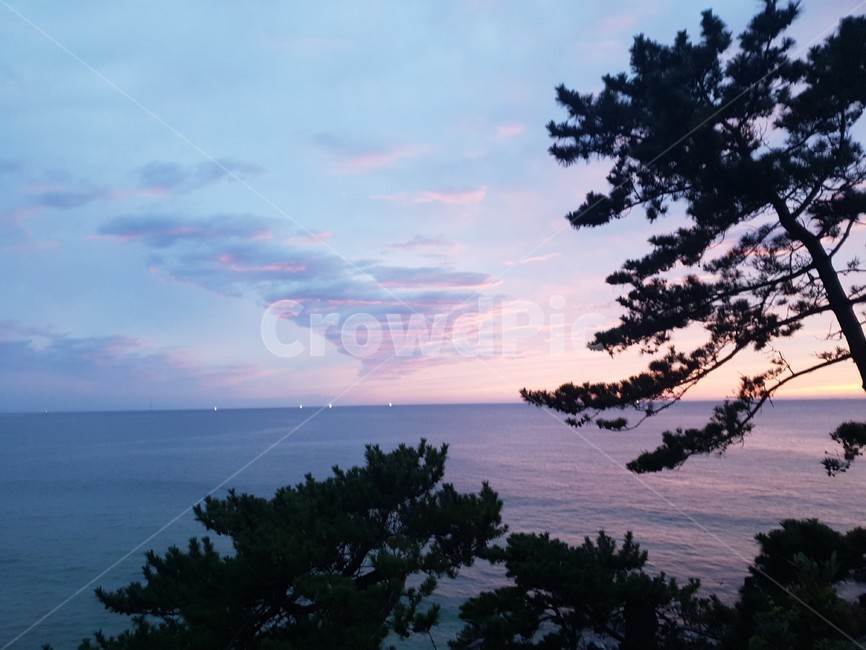자연,바다,나무,힐링,자유,자연,풍경,nature,landscape,나무,trees,wood,tree,plant,식물,outdoors,옥외