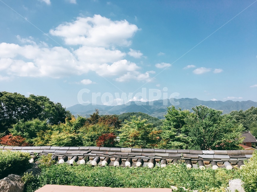 outdoors,옥외,자연,구름,nature,cloud,나무,숲,tree,forest,하늘,산